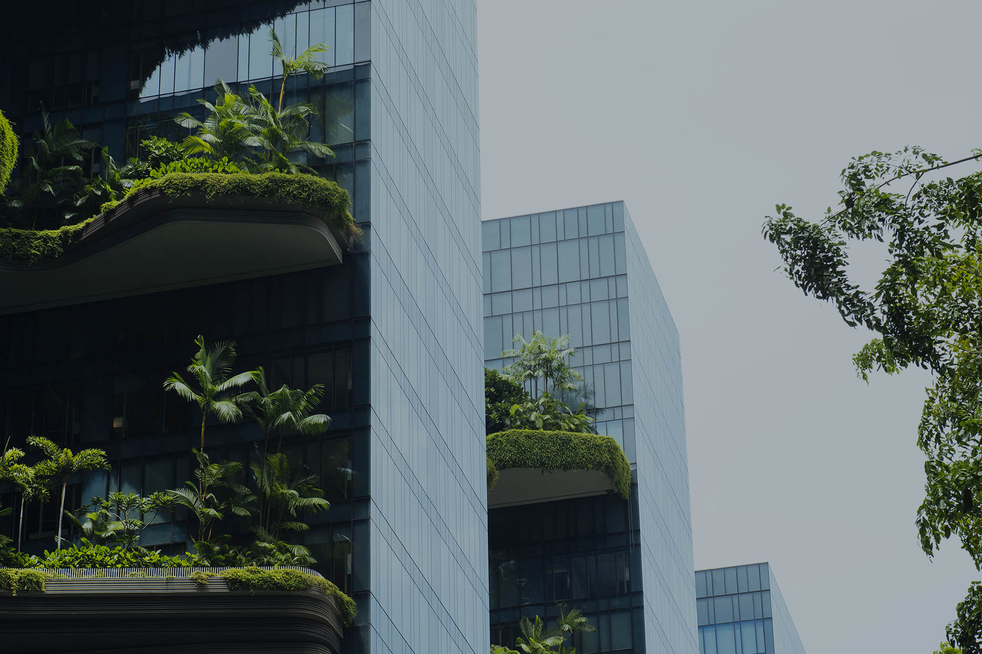 Solutions Services Sydney 16