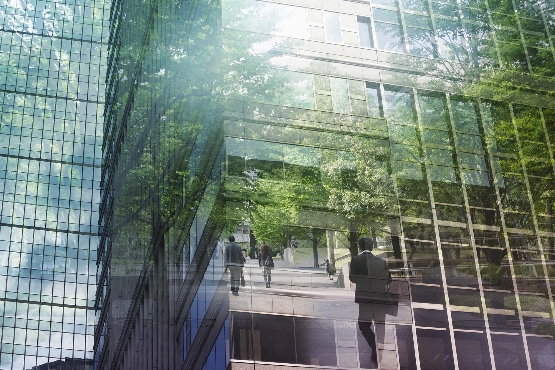Solutions Services Sydney 39